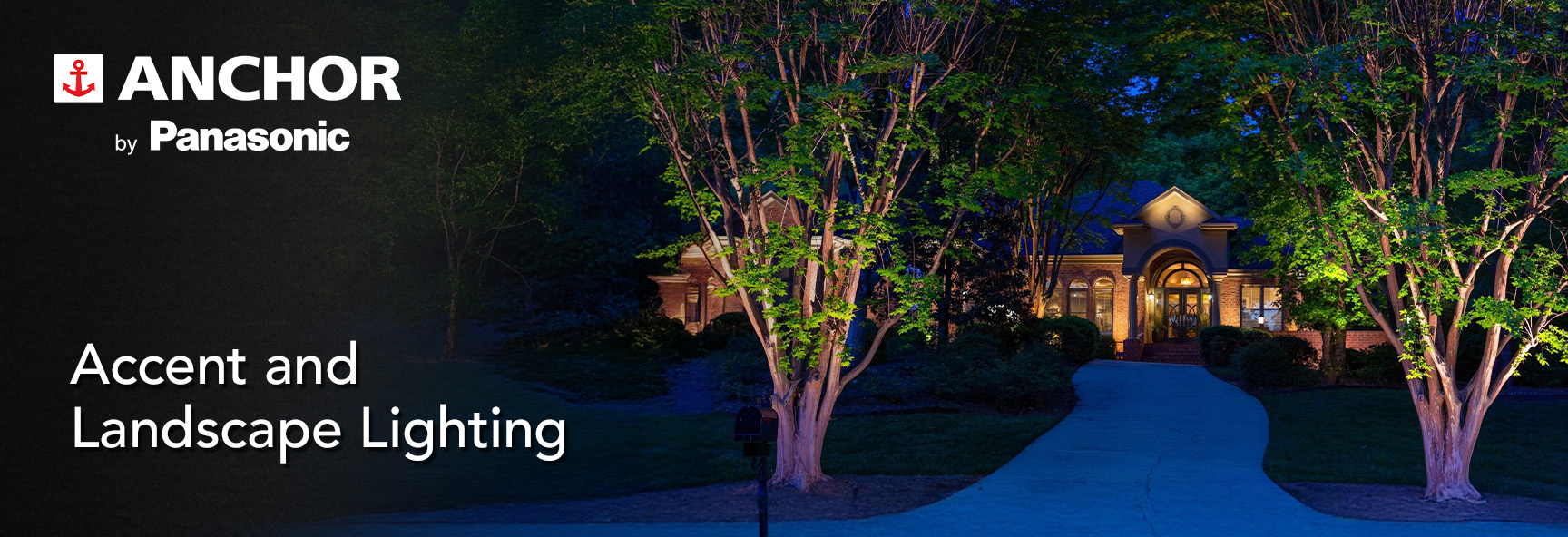 Accent and Landscape Lighting