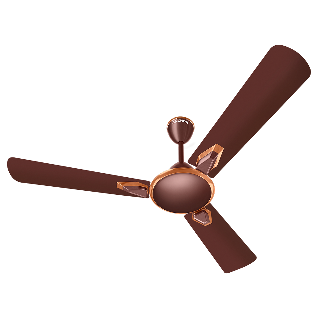 FRIGATE Rose Brown