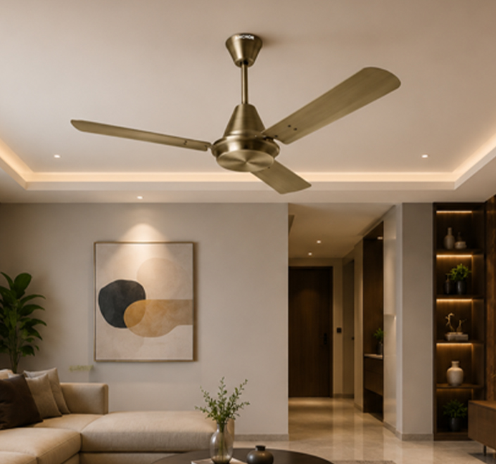 Fan & Ventilation 