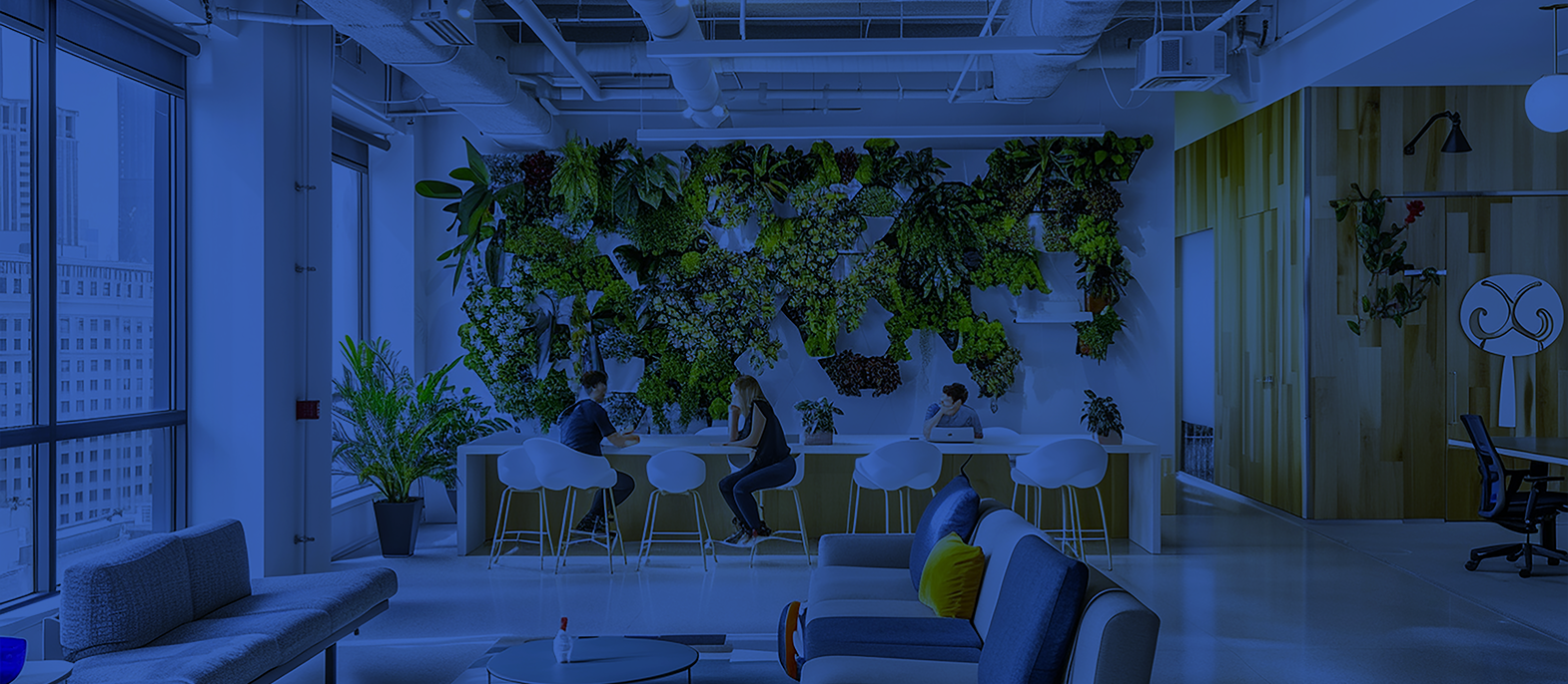 Proven Impact in Real Workplaces
